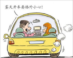 穹頂之下，網絡代駕 第一代駕的守護之路